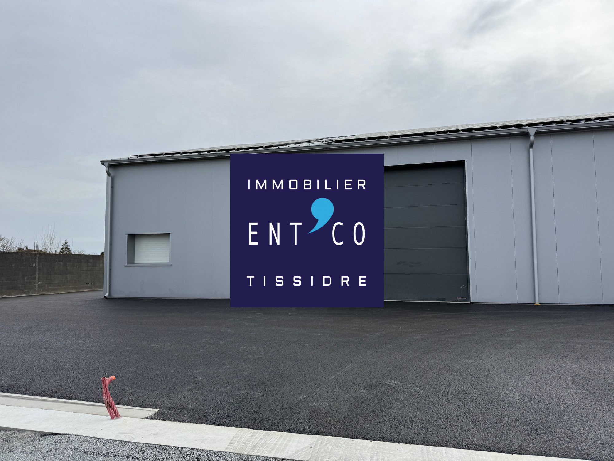 413-TISSIDRE, photo 2