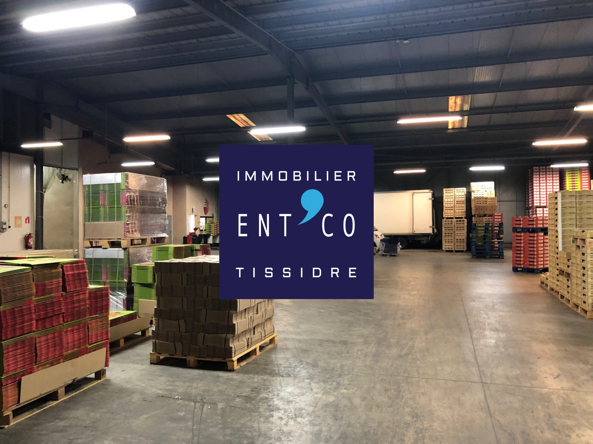 445-TISSIDRE — photo 2