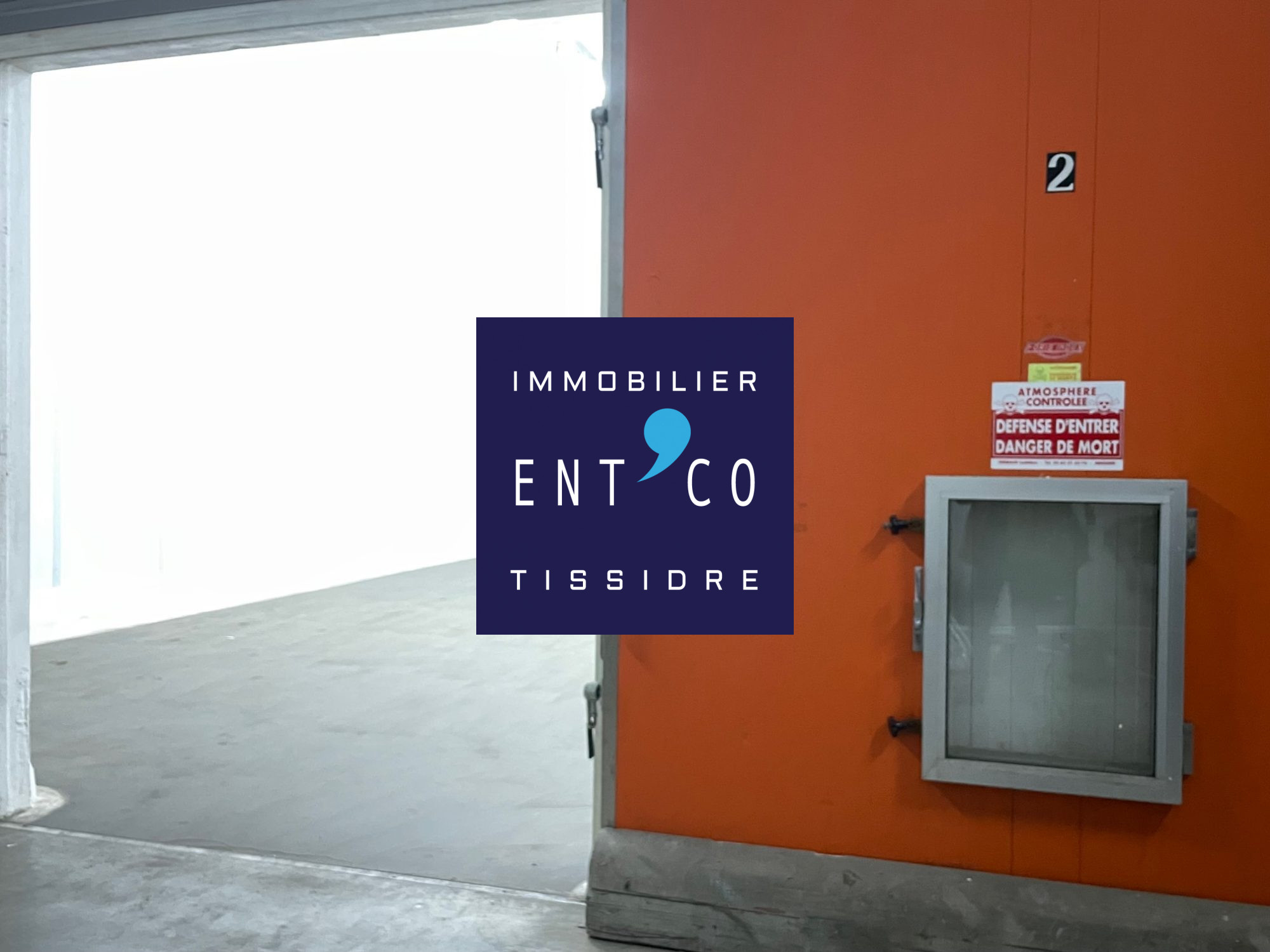 445-TISSIDRE — photo 4
