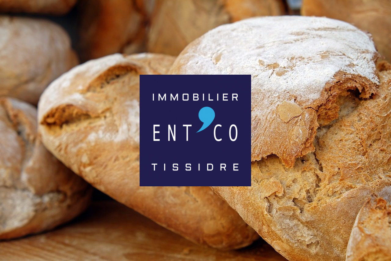 448-TISSIDRE — photo 2