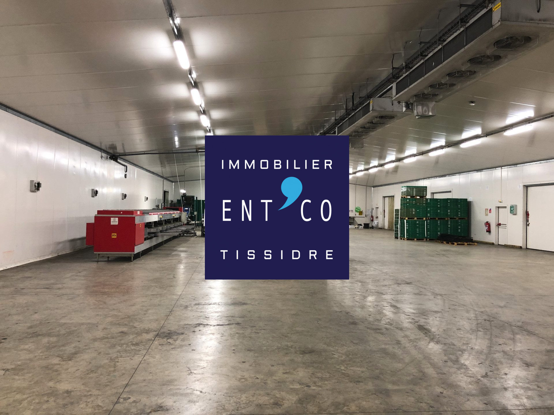 456-TISSIDRE — photo 1