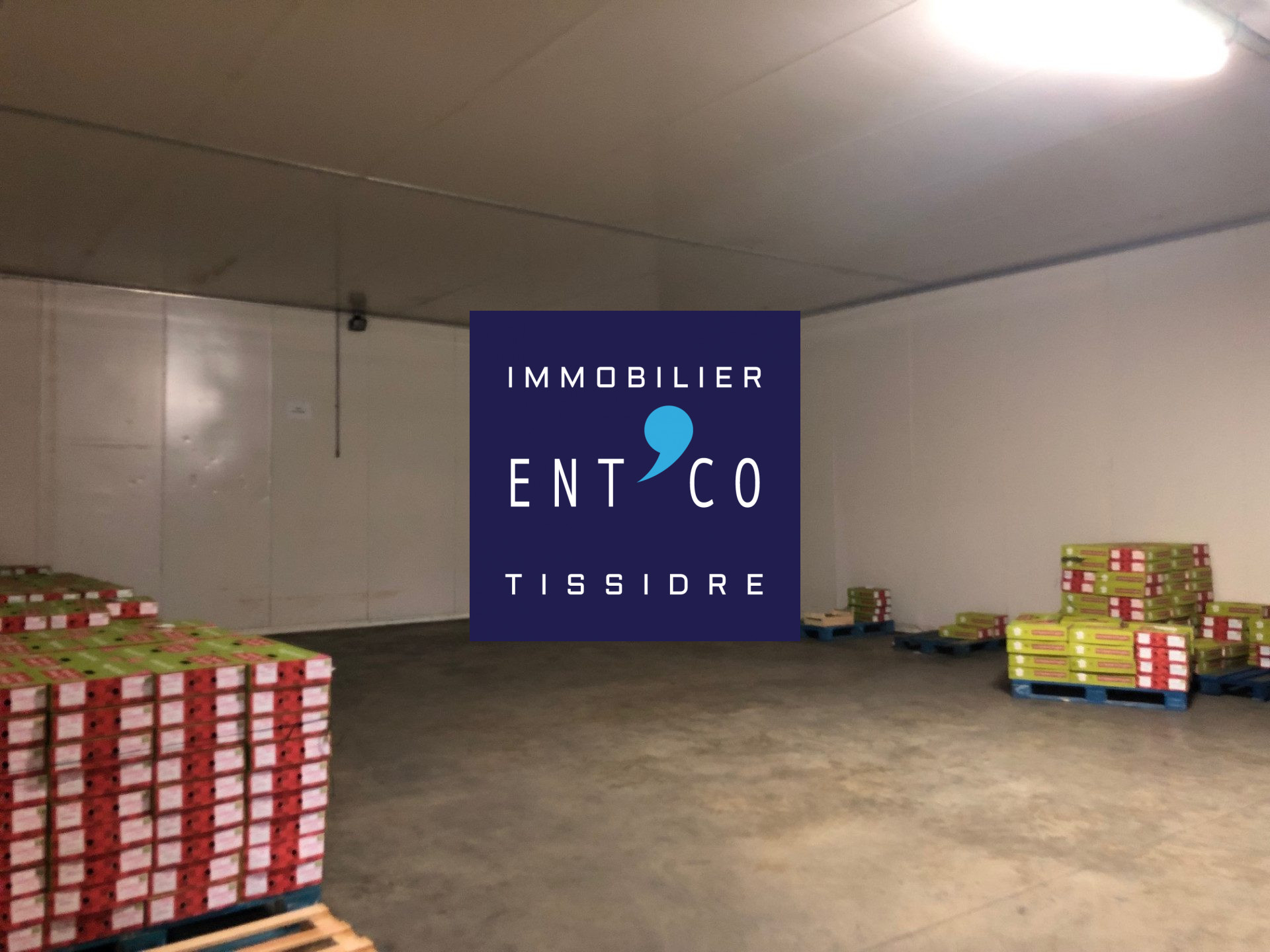 456-TISSIDRE — photo 6