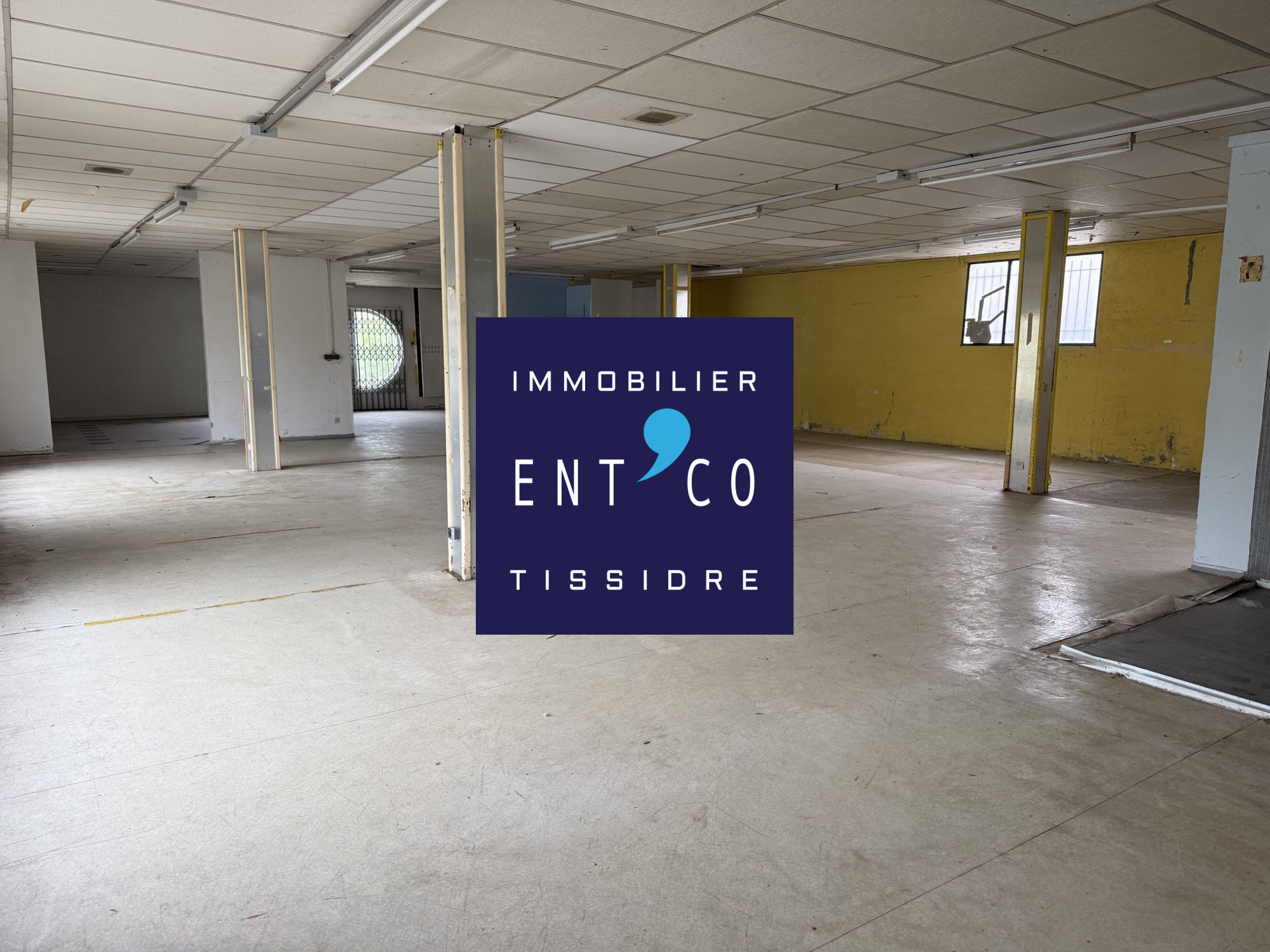 465-TISSIDRE — photo 3
