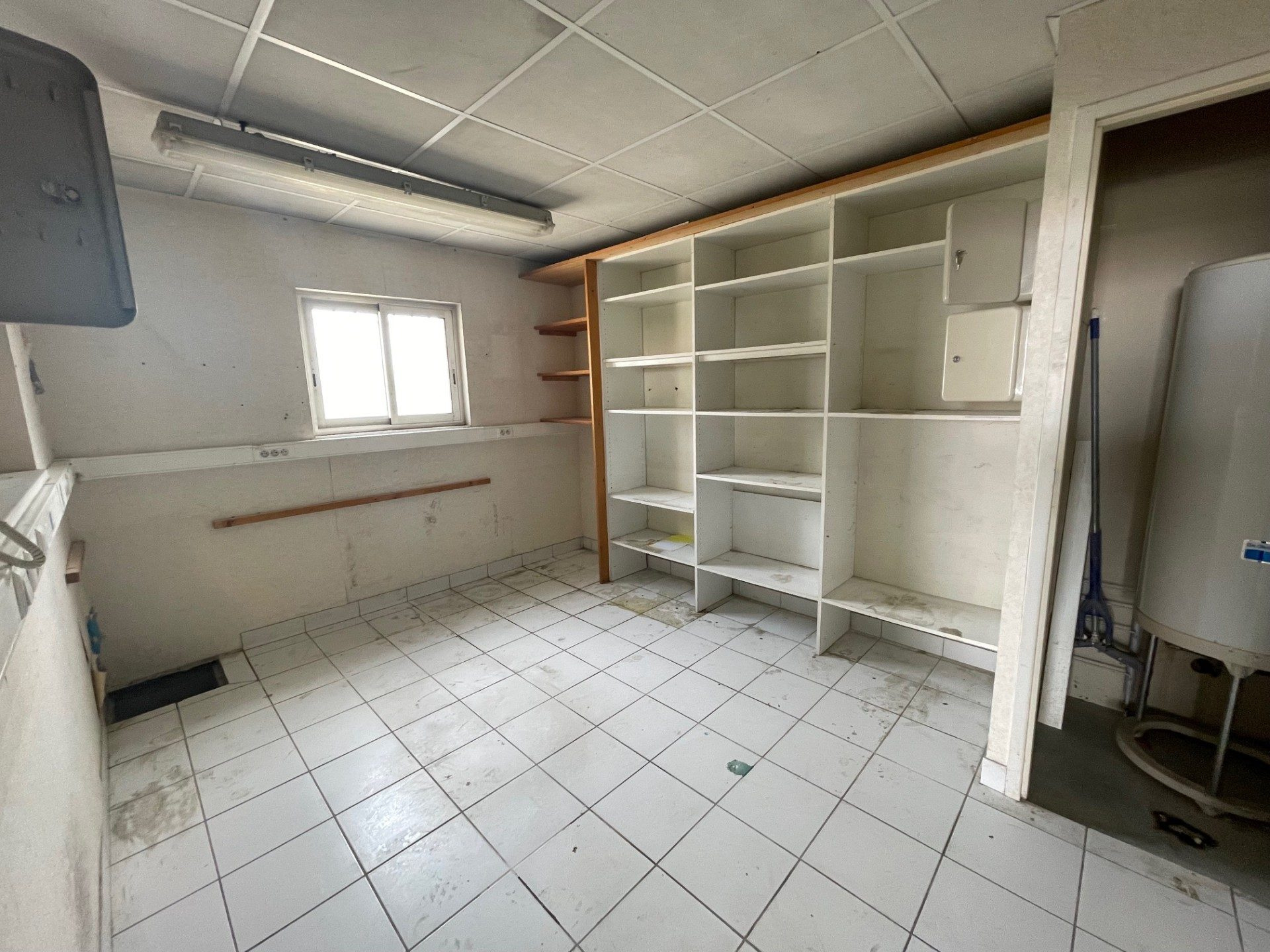 483, photo 8