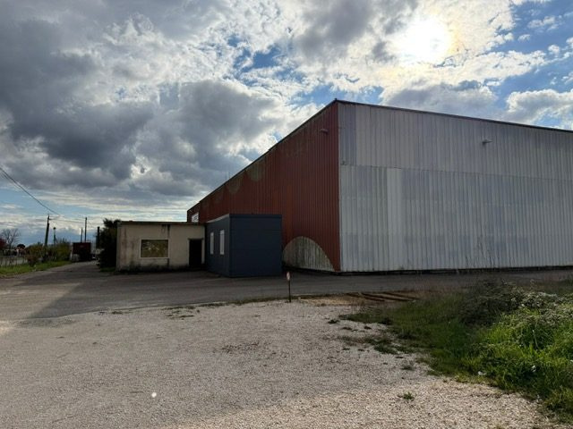 VP1244, photo 1